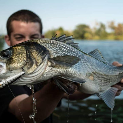 Fishus Lurenzo Espetit Fishing Lures 9.5cm 10.5g