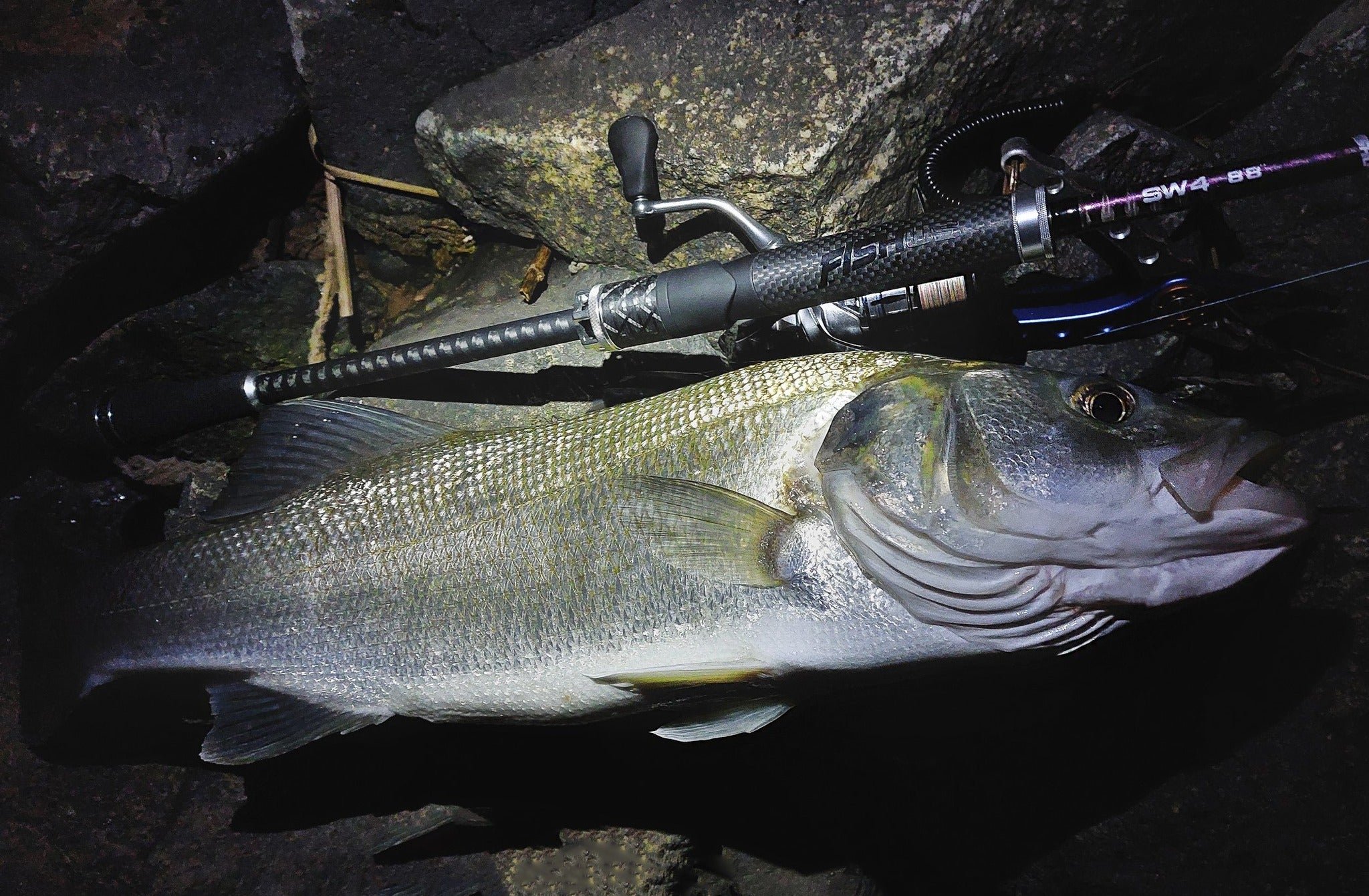 Fishing Oculus Quest Best Fishing Vr Game Fishing Oculus Quest Vr