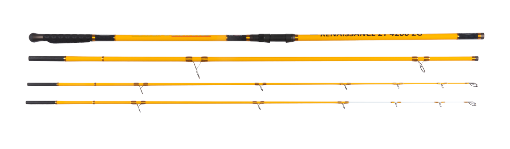 Blackrock 2G Surf Fishing Rods