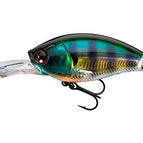 Prism Blue Gill