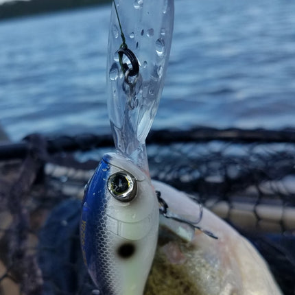 Yo Zuri 3DB Deep Crank Fishing Lure