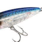 Blue Mackerel