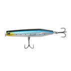 Sardine