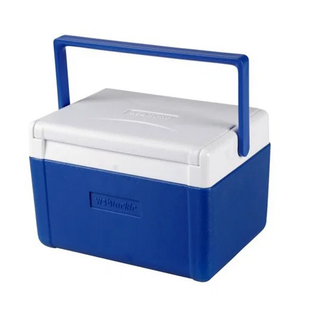 WSB Fishing Cool Box | 5 Litre | Ideal For Fishing Bait And Food