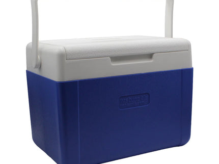 WSB Fishing Large Cool Box | 9.4 Litre | Ideal For Fishing Bait And Food