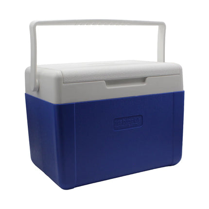 WSB Fishing Large Cool Box | 9.4 Litre | Ideal For Fishing Bait And Food