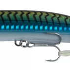 Mackerel