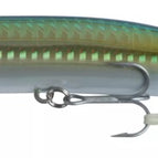 Sprat