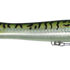 Mackerel