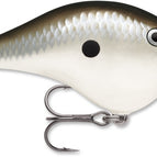 Pearl Grey Shiner