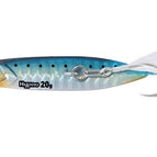 Sardine