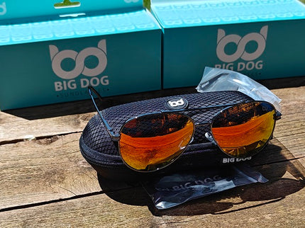 Big Dog Eagle Polarised Sunglasses With Hard Case