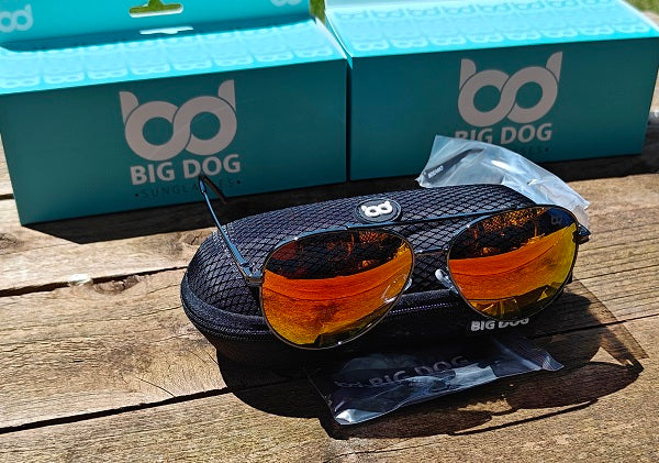 Big Dog Eagle Aviator Polarised Sunglasses