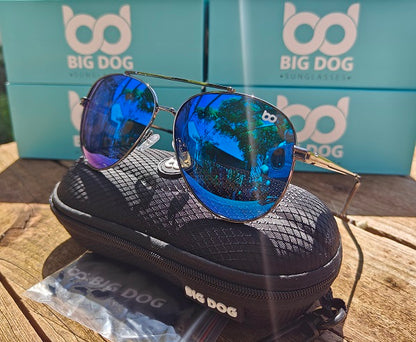 Big Dog Eagle Aviator Polarised Sunglasses