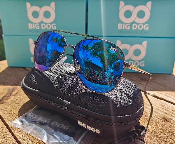 Big Dog Eagle Aviator Polarised Sunglasses