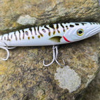 White Mackerel