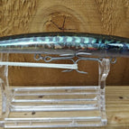 Mackerel