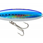 Sardine