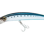 Blue Back Sardine