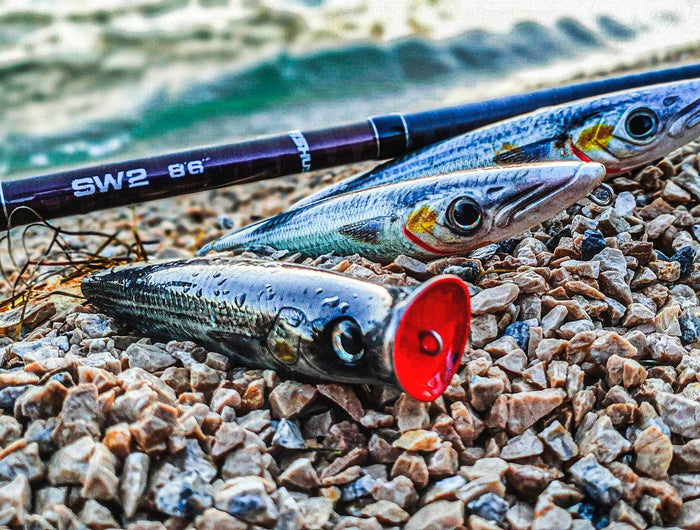 <h1><strong>FISHUS </strong><span style="text-decoration:underline"><strong>LURES</strong></span></h1>
