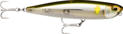 Rapala Precision Xtreme Pencil Saltwater Fishing Lures