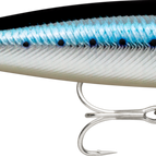 Live Blue Sardine BSRDL