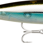 Moss Black Shiner MBS