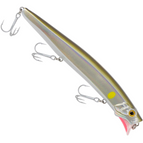 Sand Eel