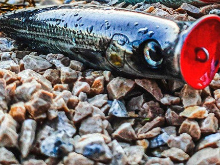 Fishus Lures Ubuntu Surface Popper Bass Fishing Lure 9.5cm 16g