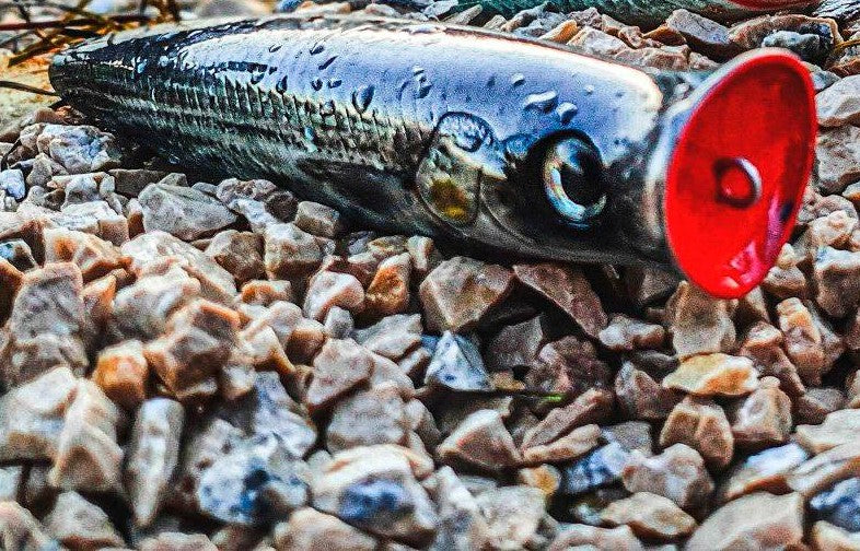 Fishus Lures Ubuntu Surface Popper Bass Fishing Lure 9.5cm 16g