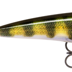 Live Perch