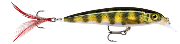 Live Perch