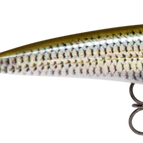 Live Roach
