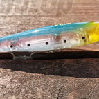 Sardine