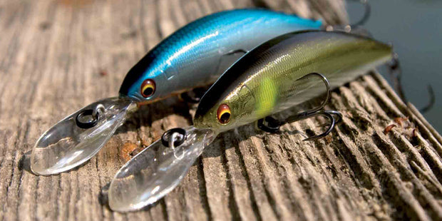 <h2>Fishing <span style="text-decoration:underline">Lures</span></h2>