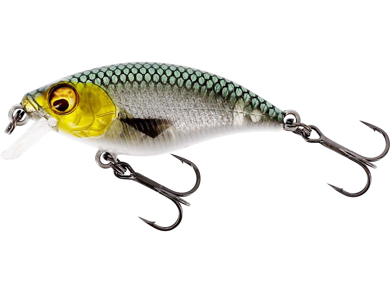 Westin Buzzbite SR Shallow Runner Crankbait Fishing Lures