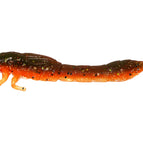 Motoroil Moss