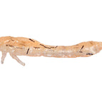 UV Shrimp