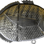 White Seabream