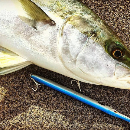 Fishus Lurenzo Don Belone Fishing Lures 23cm 25g