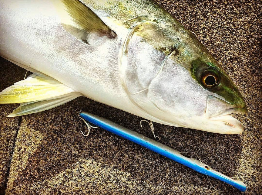 Fishus Lurenzo Don Belone Fishing Lures 23cm 25g
