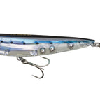 Sardine