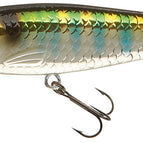 Chrome Minnow