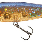 Brown Minnow