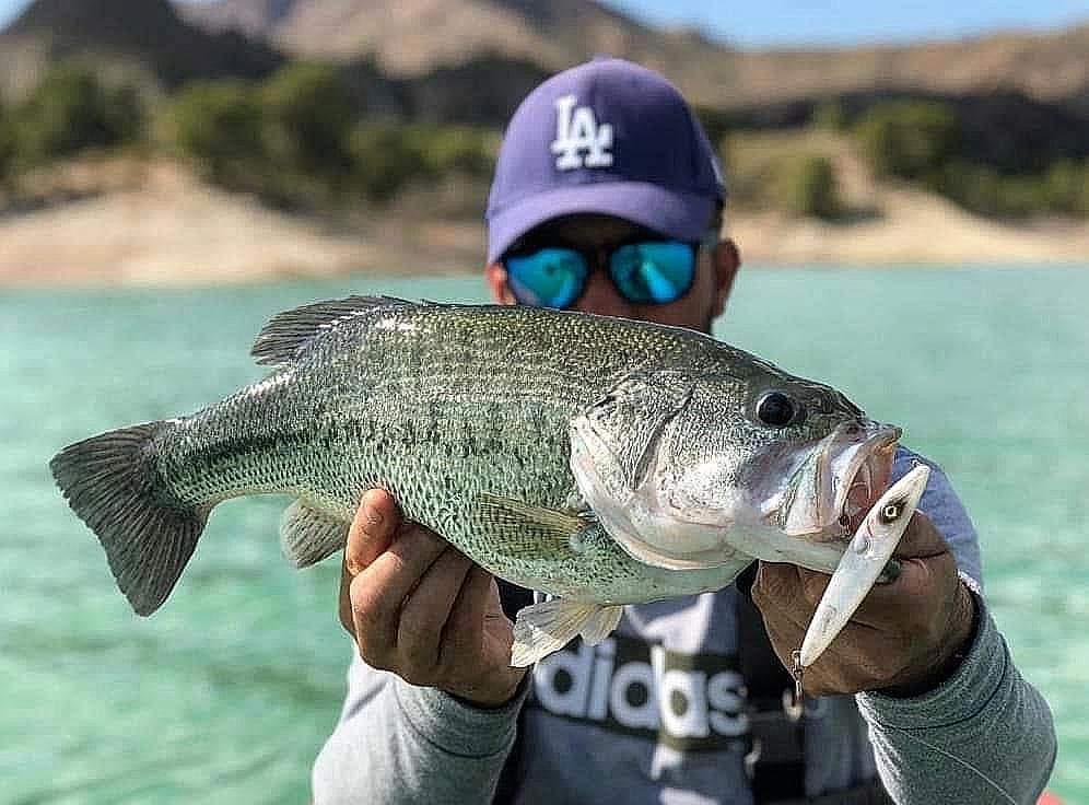 Fishus Lurenzo Espetit Fishing Lures 70mm 6.8g