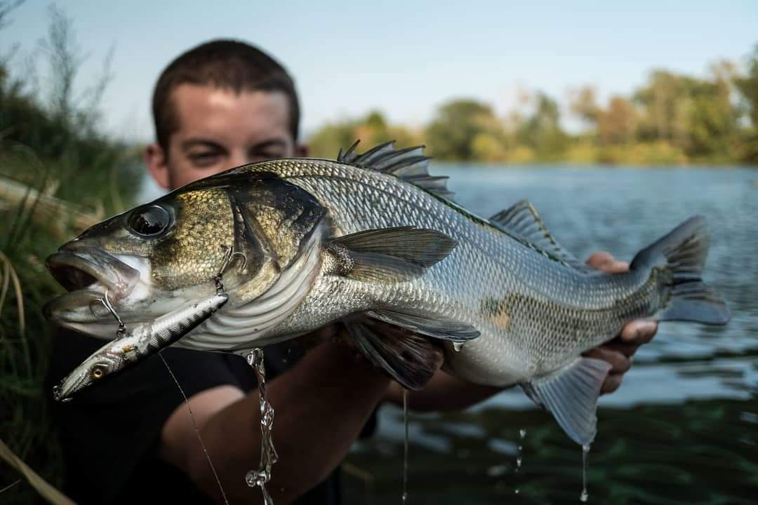 Fishus Lurenzo Espetit Fishing Lures 9.5cm 10.5g