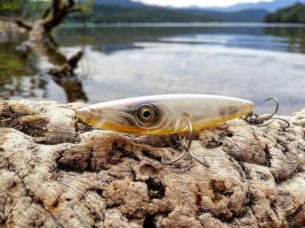 Fishus Lurenzo Espetit Bass Fishing Lures 9.5cm 10.5g