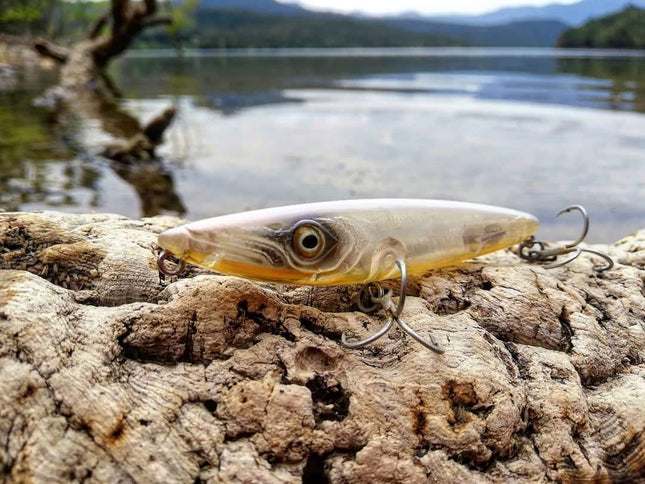 Fishus Lurenzo Espetit Bass Fishing Lures 9.5cm 10.5g