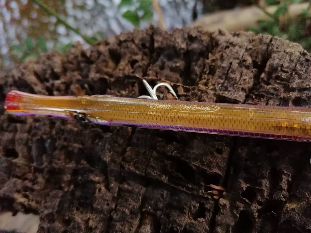 Fishus Lurenzo Don Belone 14cm Topwater Bass Fishing Lures (Floating)