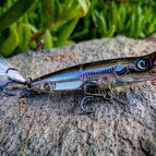 Flashy Shad